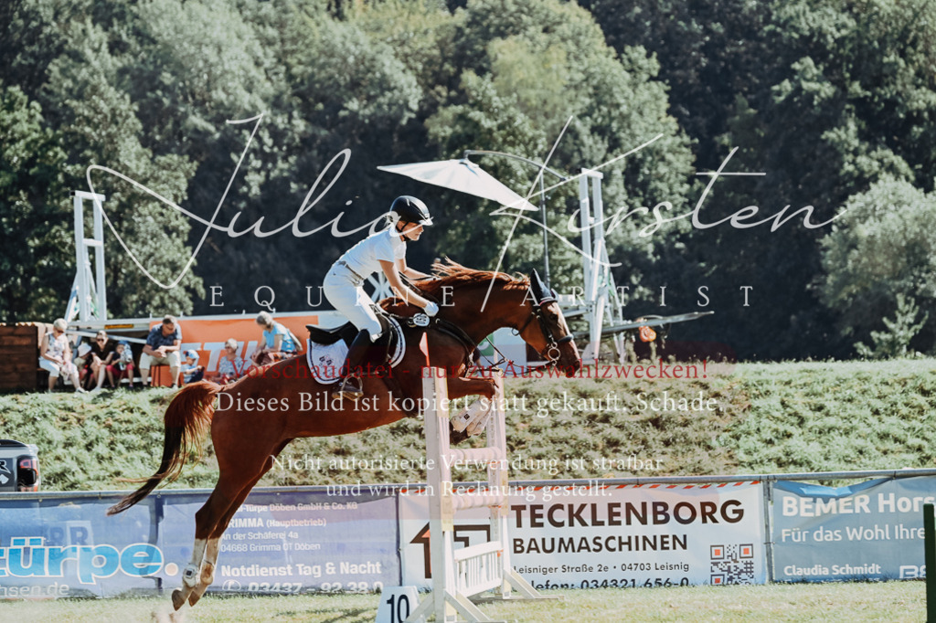 DSC_6415 | Pferde- und Turnierfotografie in Westsachsen. Pferdeportraits, Auftragszeichnungen und intuitive Kunst.