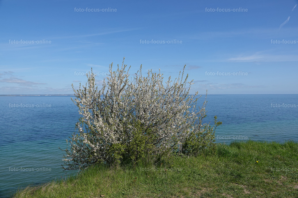 22 | Landscape photography, spectacular waves, Atlantic Ocean, Baltic Sea