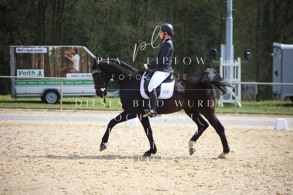 IMGT4769 | pl-fotografie