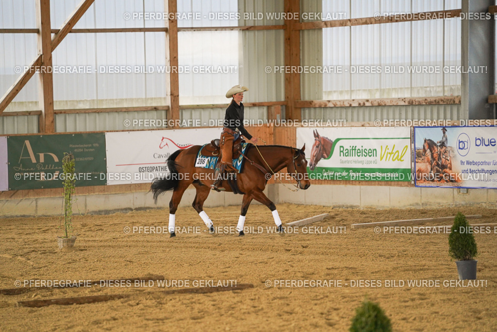 DSC04507 | Pferdegrafie