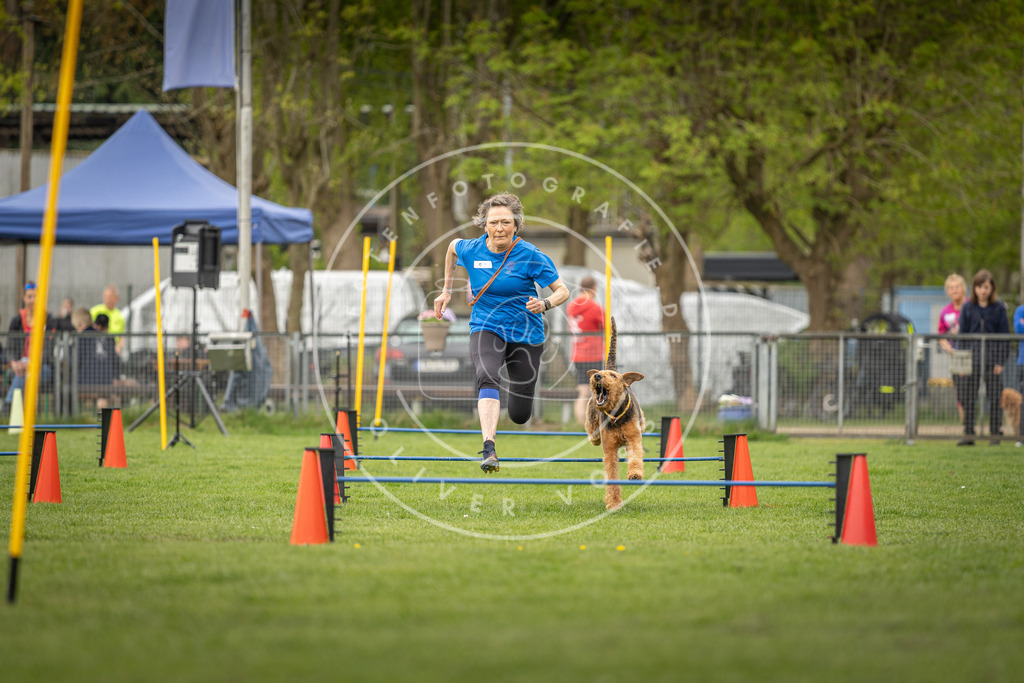 Pfotenfotografie_DV3A8381 | Hundefotografie, Tierfotograf, Pfotenfotografie, Fotoshooting Hund, Hunde Portrait, Hundesport, Hundeportraits, Heideshooting, Hunde, Sportfotograf, Hundefotograf, Turnierhundsport, THS,  - Realisiert mit Pictrs.com
