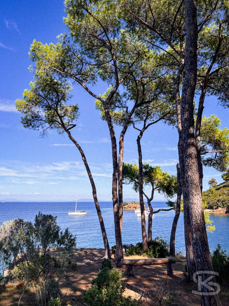 Mediterraner Küstentraum: Pinien am Meer, Spiaggia di Istia, Elba – Wandbild | Mediterrane Pinien am Ufer der Spiaggia Si Istia auf Elba, mit Blick auf das türkisblaue Meer, Küstenlandschaft und Boote im Hintergrund - Realisiert mit Pictrs.com