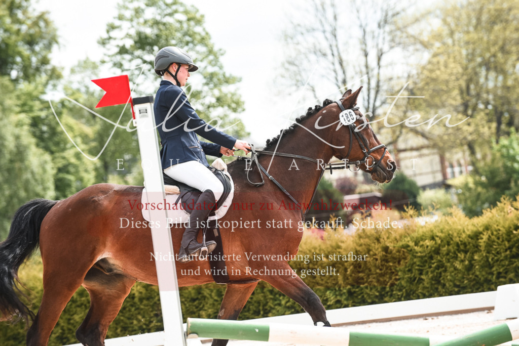 20230518_JK-Röhrsdorf-10-072 | Pferde- und Turnierfotografie in Westsachsen. Pferdeportraits, Auftragszeichnungen und intuitive Kunst.