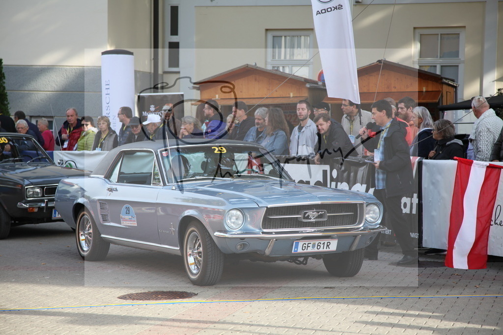 IMG_1459 | Gerhard Witt