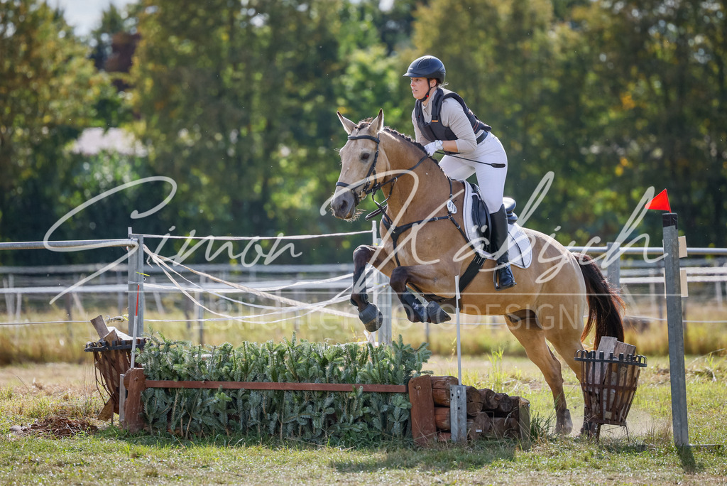 20250905-_3LI1123 | Tierfotografie Pferde, Hunde, Katzen, Haustiere.
Turnierfotografie Reitturniere, Reiten, Springreiten, Dressur in Hanau, dem Main-Kinzig-Kreis und dem Rhein-Main- Gebiet um Frankfurt
