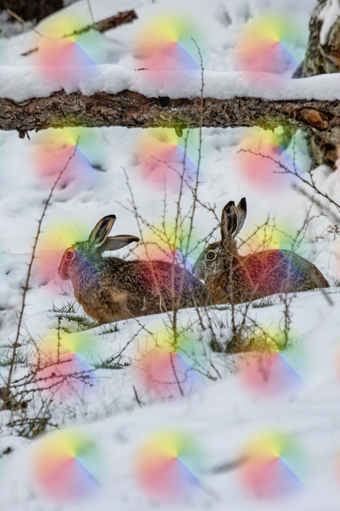 20240423-1M5A0020 | FineArtPrint, Hahnemühle, FeeGalerie, Fee Galerie, Fotokunst, Fotografie, Canonphotography, Bergfoto, Matterhorn, Rimpfischhorn, Allalinhorn, Saas-Fee, Wallis, Valais, Switzerland, Bergfotografie