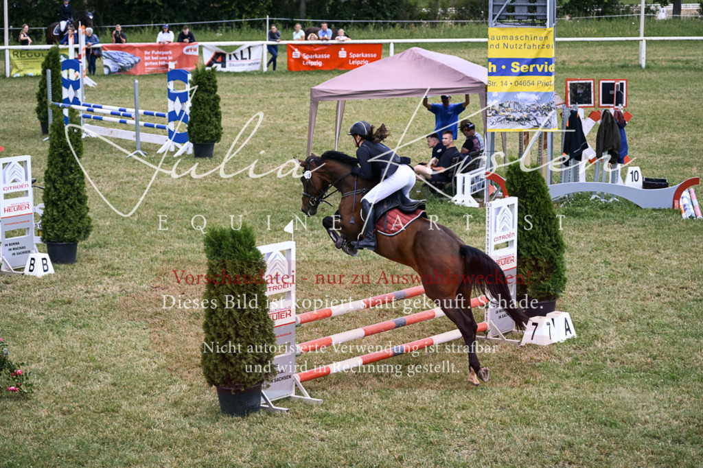 DSC_9427 | Pferde- und Turnierfotografie in Westsachsen. Pferdeportraits, Auftragszeichnungen und intuitive Kunst.