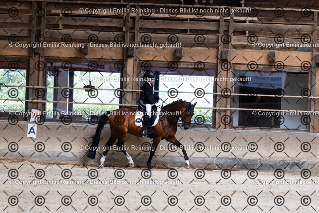 CL5A4090 | Emilia Reinking Fotografie - Realisiert mit Pictrs.com