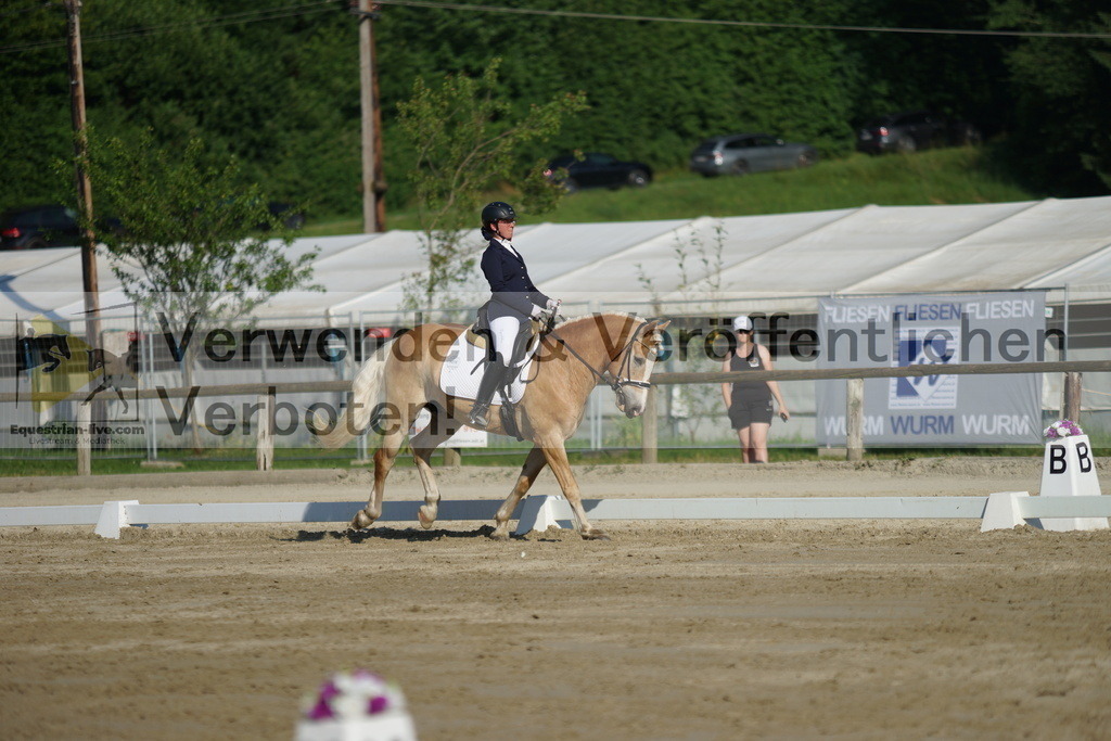 DSC04138 | equestrian-live-com