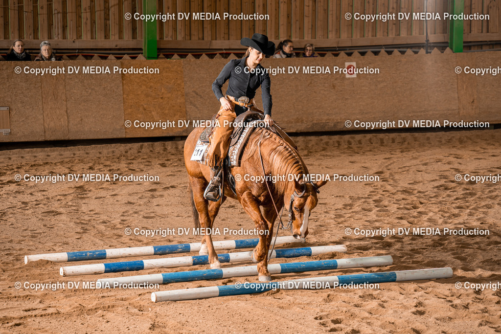 BA400747 | dv-media-shop - Realisiert mit Pictrs.com