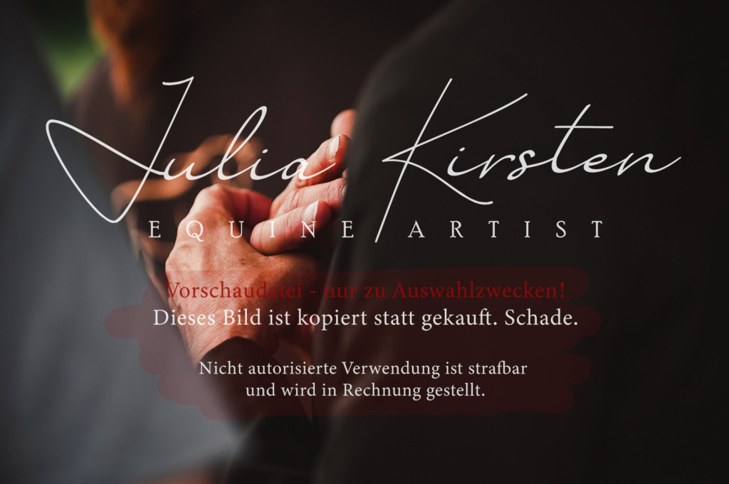 DSC_5746 | Pferde- und Turnierfotografie in Westsachsen. Pferdeportraits, Auftragszeichnungen und intuitive Kunst.