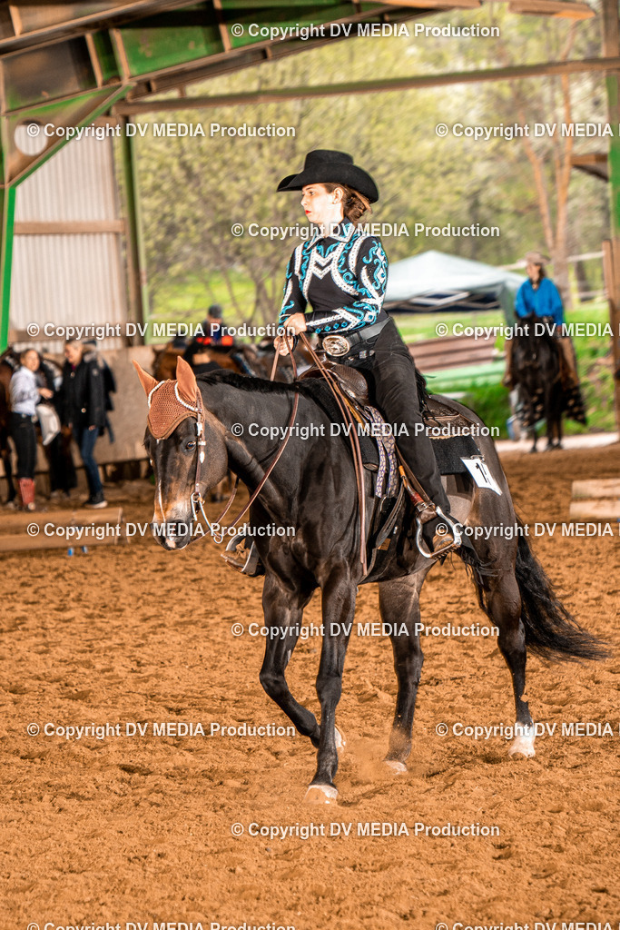 BAL00178 | dv-media-shop - Realisiert mit Pictrs.com