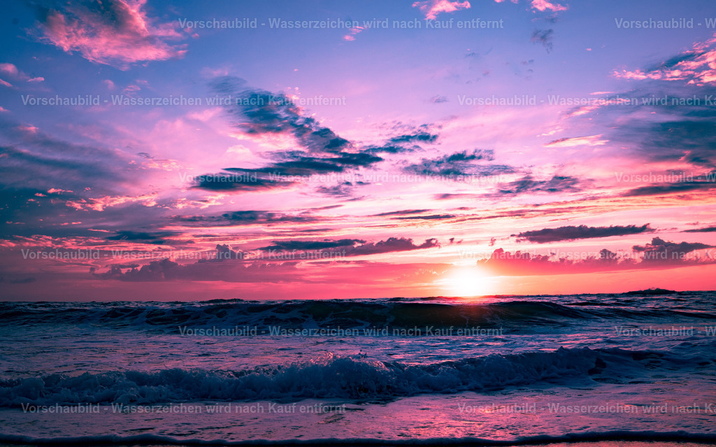 DSC01519 | marcuslinek