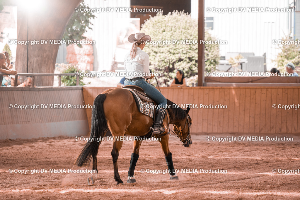 NE300722 | dv-media-shop - Realisiert mit Pictrs.com