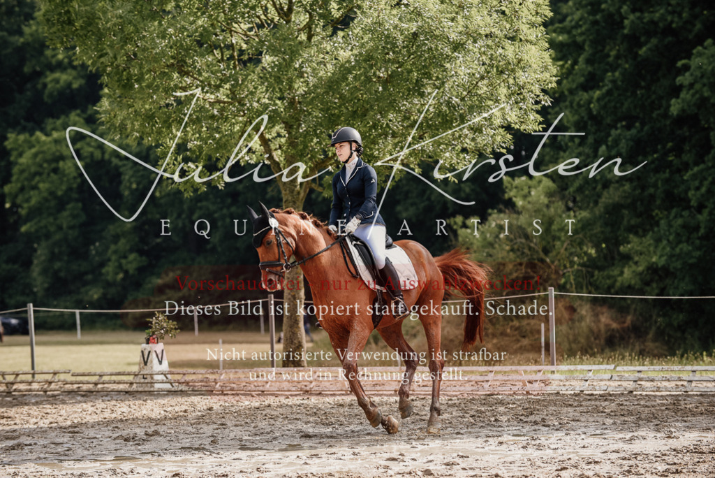 DSC_8936 | Pferde- und Turnierfotografie in Westsachsen. Pferdeportraits, Auftragszeichnungen und intuitive Kunst.