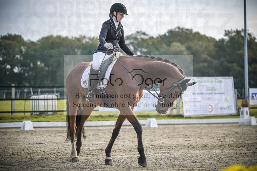 DOS_B017 | Entdecke hochwertige Reitturnierfotos von Foto Oger. Professionell, emotional und authentisch – jetzt Lieblingsmomente im Shop bestellen.Deutschlandweite Turnierfotografie. - Realisiert mit Pictrs.com