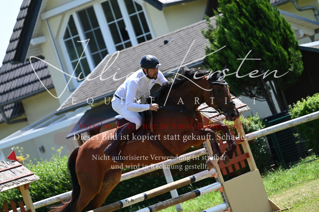 DSC_0608 | Pferde- und Turnierfotografie in Westsachsen. Pferdeportraits, Auftragszeichnungen und intuitive Kunst.