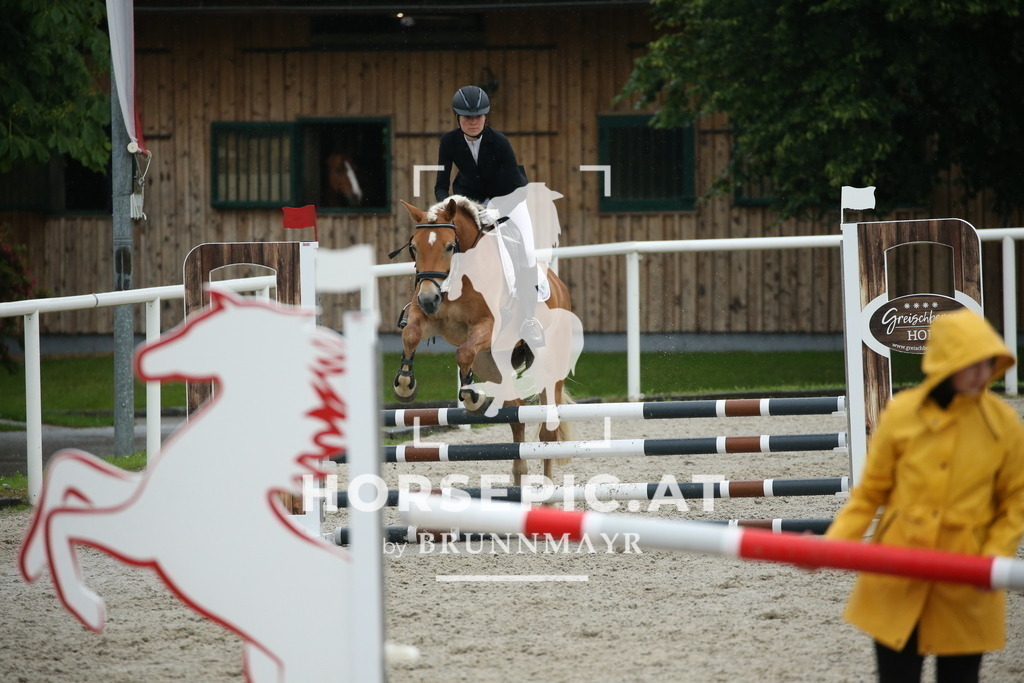 DL2Q0295 | Willkommen bei Brunnmayr - Design & Fotografie – Ihrem Spezialisten für Reitturniere und Pferdeveranstaltungen in Oberösterreich, Salzburg und Bayern! Seit über 17 Jahren sind wir leidenschaftlich dabei.
