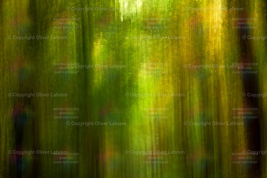 Die Impression der Farben | Die Fotografie zeigt einen herbstlichen Wald in all seinen bunten Farben, der durch einen Bewegungseffekt wie eine Impressionistisches Bild wirkt.