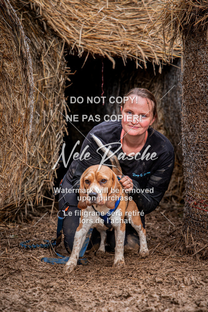 nelerasche_Hunsrück_So09-11_234 | nelerasche