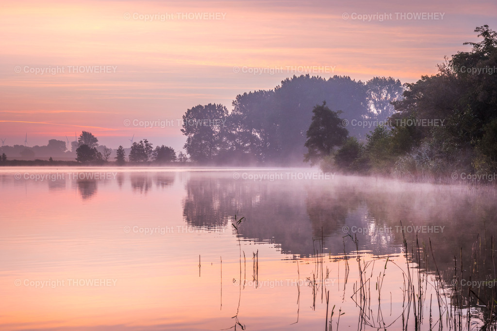 _1008841 | thowehey - Realisiert mit Pictrs.com