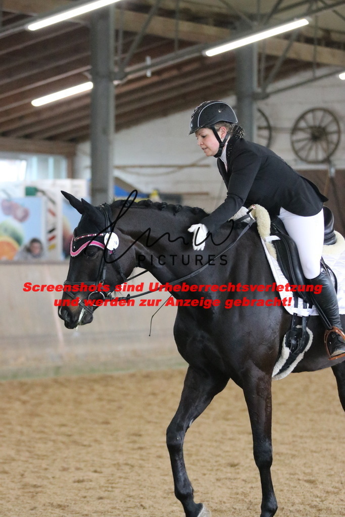 IMG_8373 | lmwpictures - Realisiert mit Pictrs.com