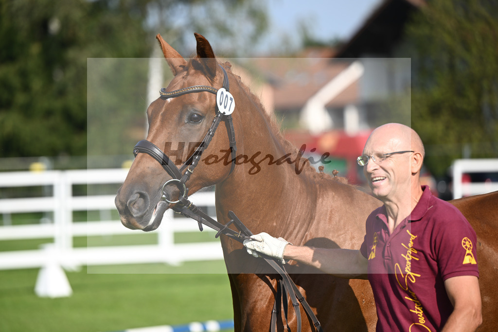 Kat-Nr. 7 Blue Eyes_Lechl_34240075 | hf-fotografie - Realisiert mit Pictrs.com