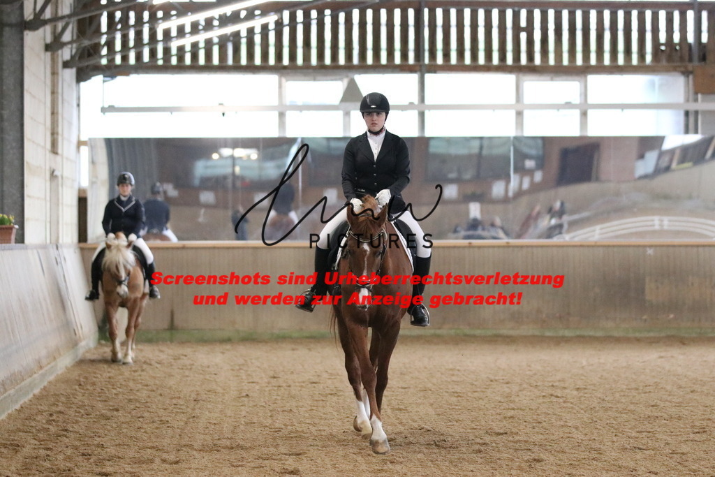 IMG_6431 | lmwpictures - Realisiert mit Pictrs.com