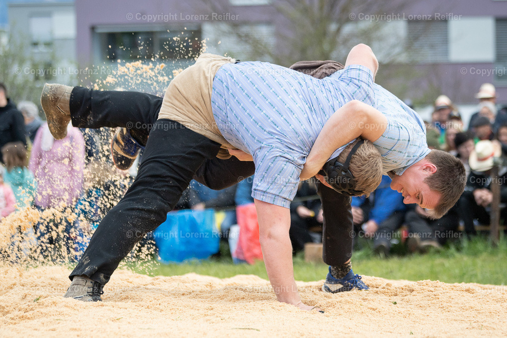 Schwingen -  Rheintal-Oberländer 2023 | Altstätten, 2.4.23, Schwingen - Rheintal-Oberländer.