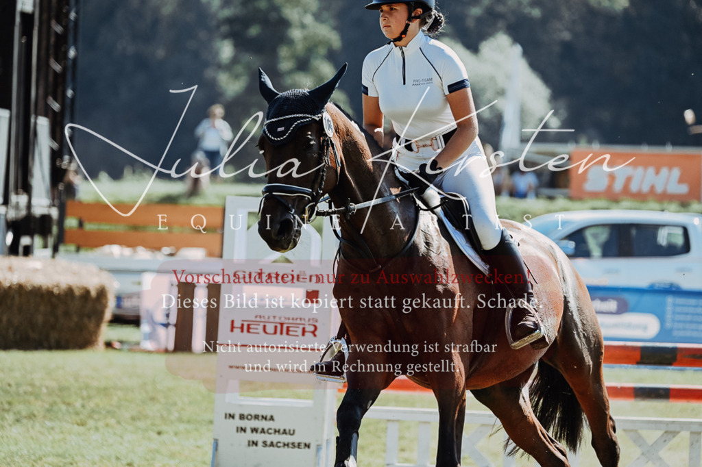 DSC_5962 | Pferde- und Turnierfotografie in Westsachsen. Pferdeportraits, Auftragszeichnungen und intuitive Kunst.