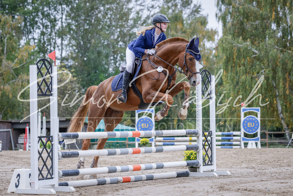 20251012-_3LI3258 | Tierfotografie Pferde, Hunde, Katzen, Haustiere.
Turnierfotografie Reitturniere, Reiten, Springreiten, Dressur in Hanau, dem Main-Kinzig-Kreis und dem Rhein-Main- Gebiet um Frankfurt