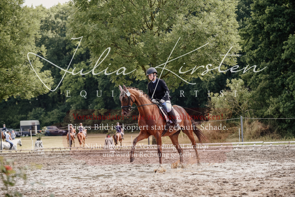 DSC_9273 | Pferde- und Turnierfotografie in Westsachsen. Pferdeportraits, Auftragszeichnungen und intuitive Kunst.