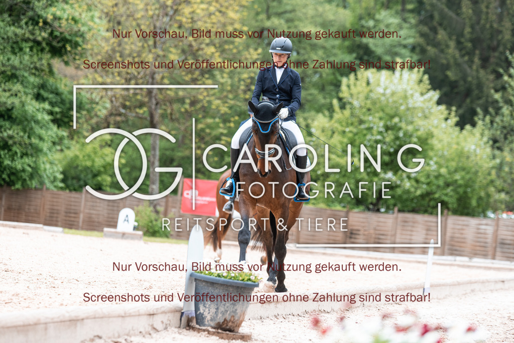 DSC_6889 | Turnierfotografin Carolin Gieschke,Reitsport Turnierfotografie Carolin G Fotografie | Turnierfotos aus Kirchheim/Teck, Esslingen, Stuttgart und dem Bodenseekreis