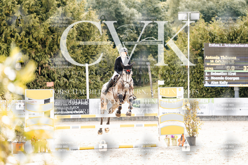 CK909042 | Turnierfotografie Pferdefotografie Trier Rheinland-Pfalz Pferdesport Reitsport Tierfotografie Sportfotografie Pferdevideo Pferdevideografie Equestrianvideography equestrianphotography  - Realisiert mit Pictrs.com