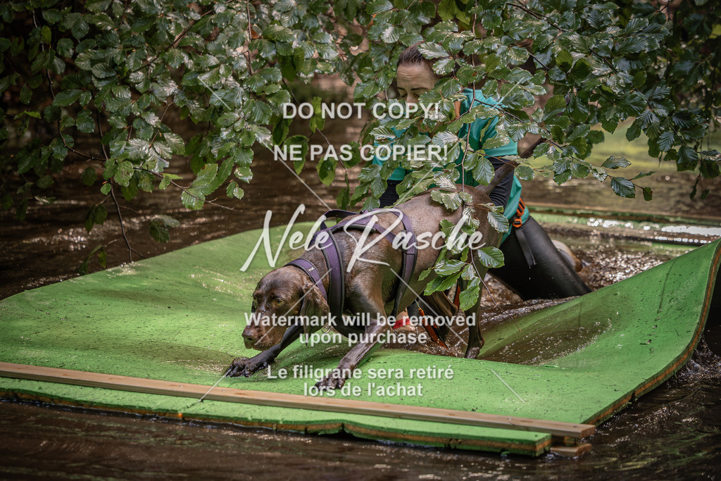 nelerasche_Wingst_Sa1330-1400_241 | nelerasche