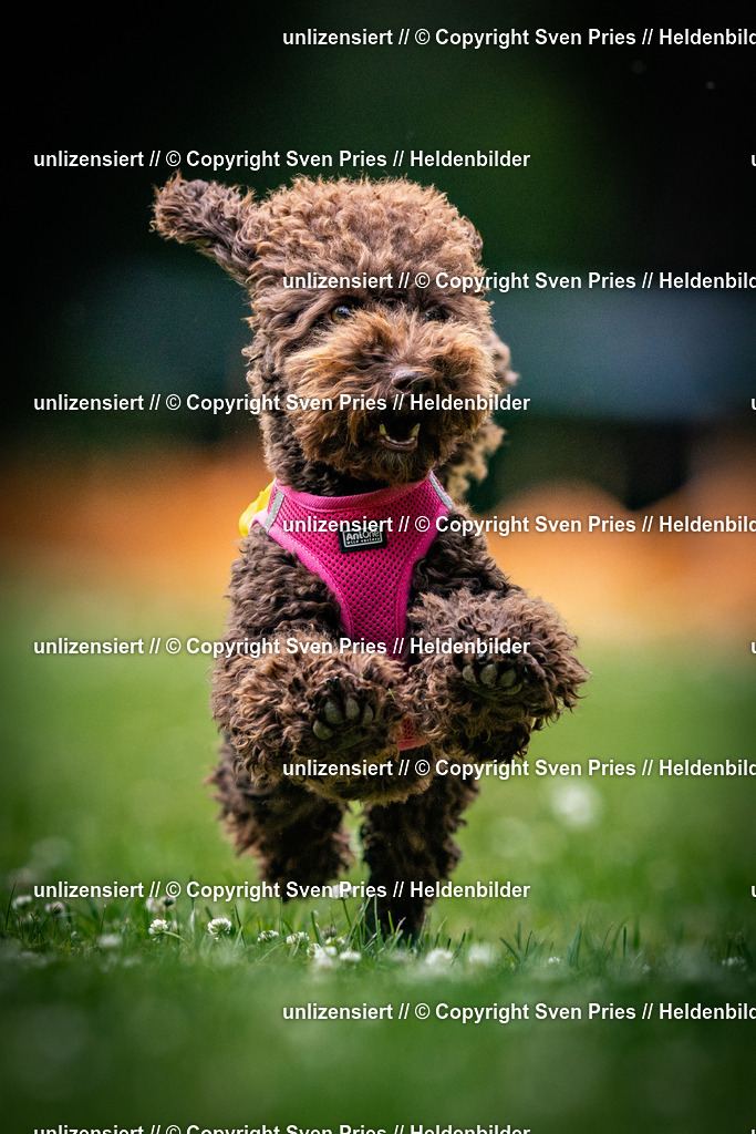 Sven Pries | 2025-05-29 - Pudelrennen KA-Durlach - Realisiert mit Pictrs.com