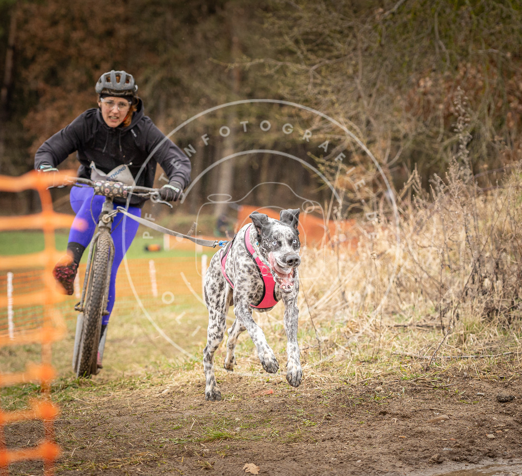 DV3A1406 | Hundefotografie, Tierfotograf, Pfotenfotografie, Fotoshooting Hund, Hunde Portrait, Hundesport, Hundeportraits, Heideshooting, Hunde, Sportfotograf, Hundefotograf, Turnierhundsport, THS,  - Realisiert mit Pictrs.com
