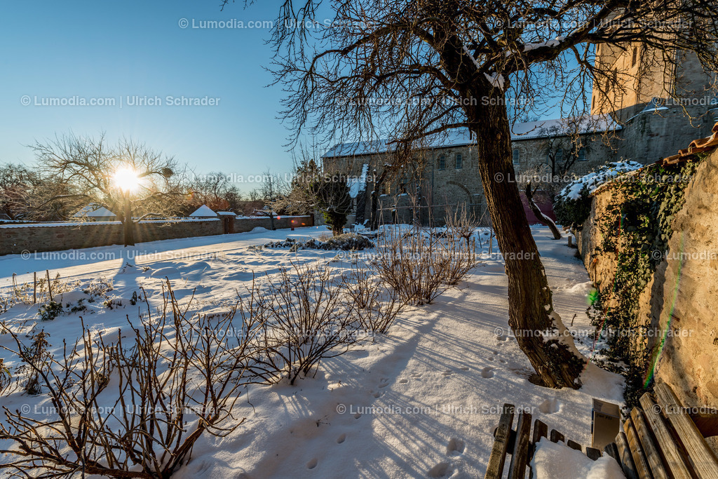 10049-4893 - Klostergärten Drübeck | Stockfoto und Bilderpool mit Bildmaterial aus Deutschland, dem Harz, Halberstadt, Quedlinburg, Wernigerode und weltweit. Qualitativ hochwertige und professionelle Fotos anschauen und kaufen. - Realisiert mit Pictrs.com