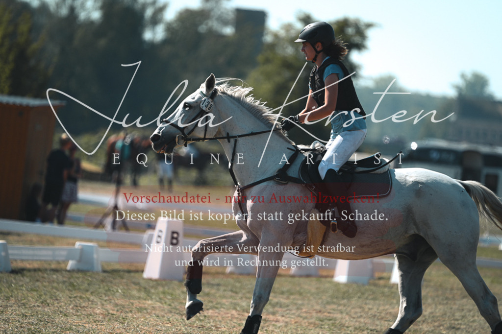 DSC_7954 | Pferde- und Turnierfotografie in Westsachsen. Pferdeportraits, Auftragszeichnungen und intuitive Kunst.