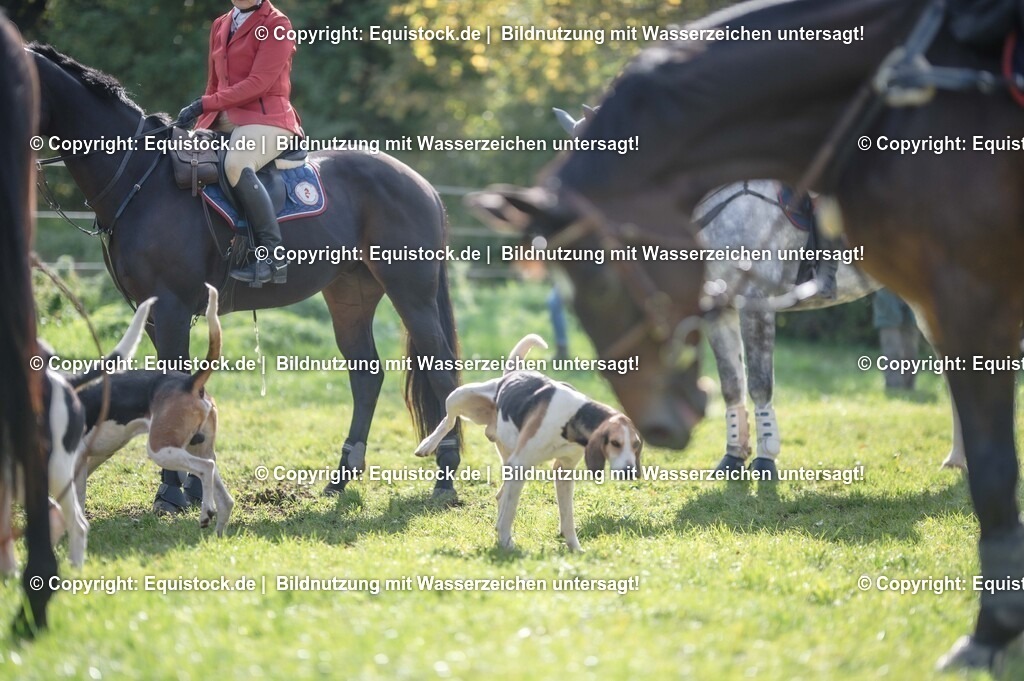 20251011_Jagd-Marbach_0143 | Foto: Thomas Hartig