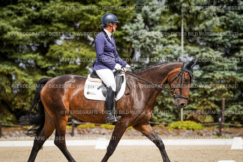 DSC03841 | Pferdegrafie