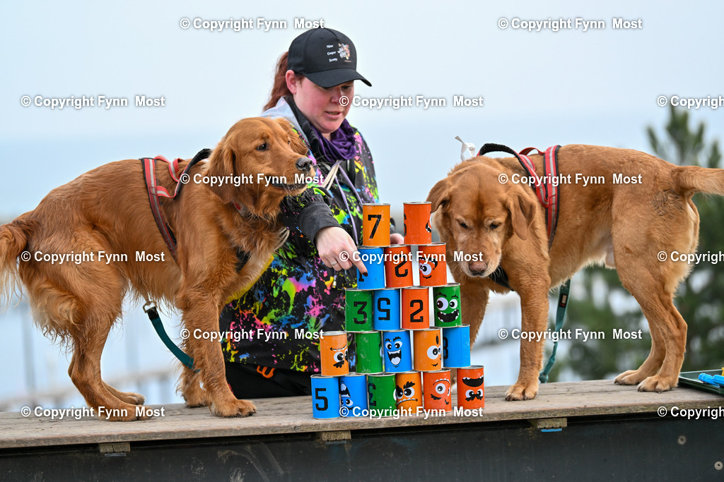 DSC_5650 | Hallo und herzlich Willkommen auf meiner Shop-Seite Fynn Most.

Ich wünsche Dir viel Spaß beim stöbern durch die Bilder, wenn Du Fragen hast oder Bilder vermisst, kannst du mir gerne eine Nachricht schreiben. - Realisiert mit Pictrs.com