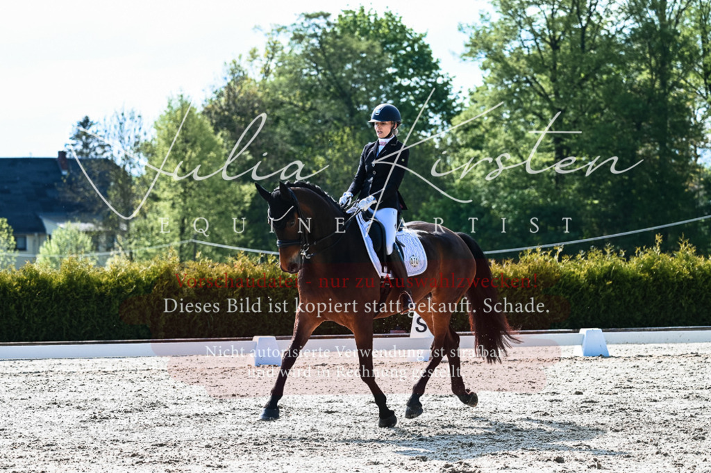 20230513_JK-Röhrsdorf-10-0232 | Pferde- und Turnierfotografie in Westsachsen. Pferdeportraits, Auftragszeichnungen und intuitive Kunst.