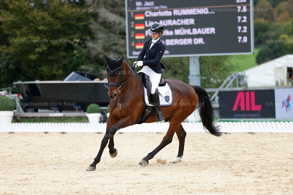 3-197-Dressur M_-StoibPH-2446 | working equitationturnier fotograf videograf stoibphotography marixx film working equitation deutschland reitsport turnierfotografie eventfotografie equestrian events