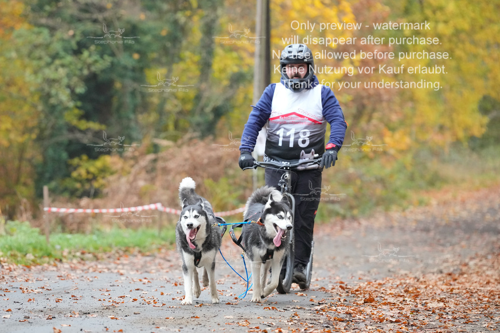 ScooterRigs2dogs_So-38 | stephaniefillaphotographie - Realisiert mit Pictrs.com