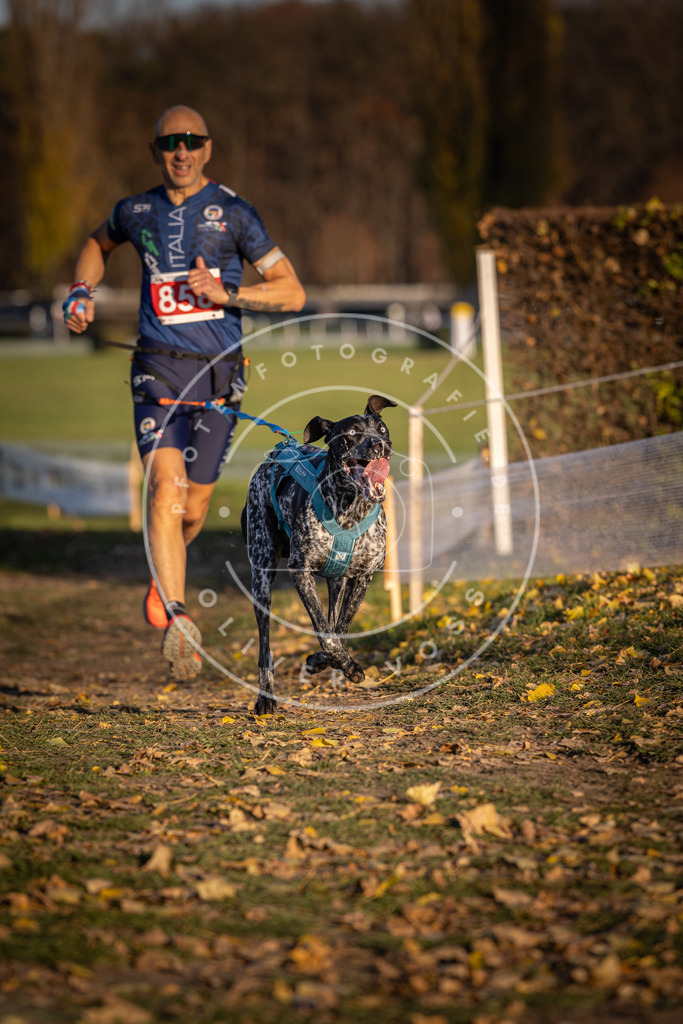 CaniXpix_DV3A3967 | Hundefotografie, Tierfotograf, Pfotenfotografie, Fotoshooting Hund, Hunde Portrait, Hundesport, Hundeportraits, Heideshooting, Hunde, Sportfotograf, Hundefotograf, Turnierhundsport, THS,  - Realisiert mit Pictrs.com
