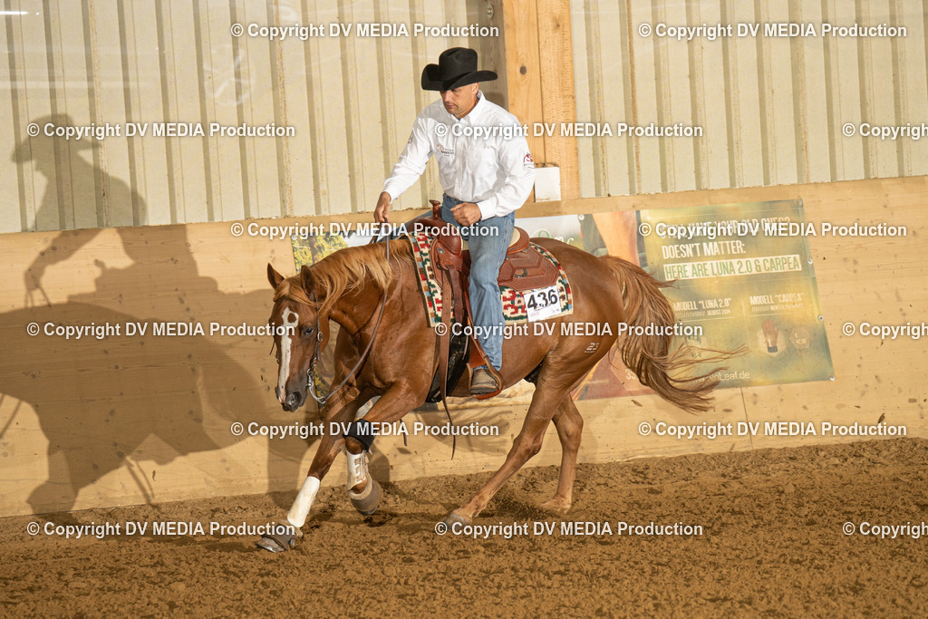 LAU00348 | dv-media-shop - Realisiert mit Pictrs.com