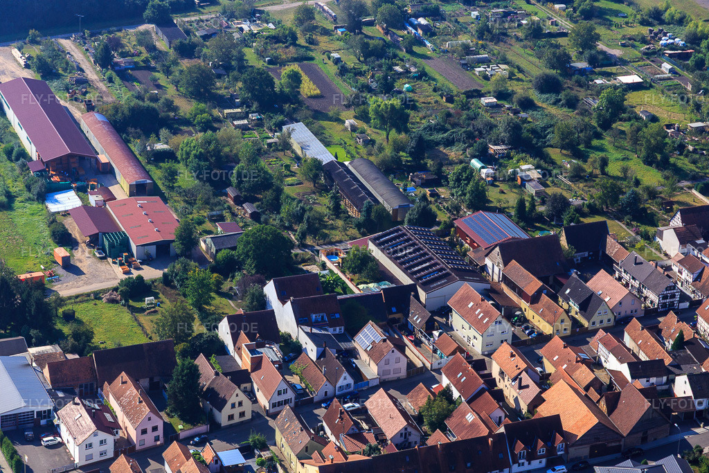 Luftbild: Landwirtschaftliche Hallen am Hintergraben in Kandel im Bundesland Rheinland-Pfalz in Deutschland. Foto: IMG_094908.jpg vom 24.09.2016 durch Werner Riehm/FLY-FOTO.de