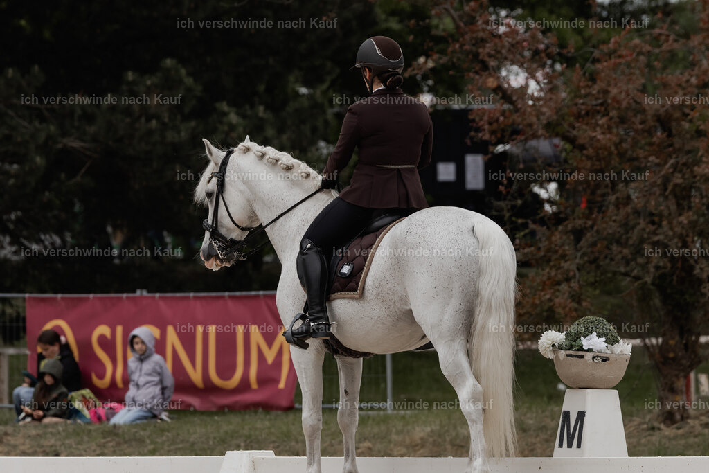 WE_DR_Stoib_318_PI2025_483 | Pferd International München 2025