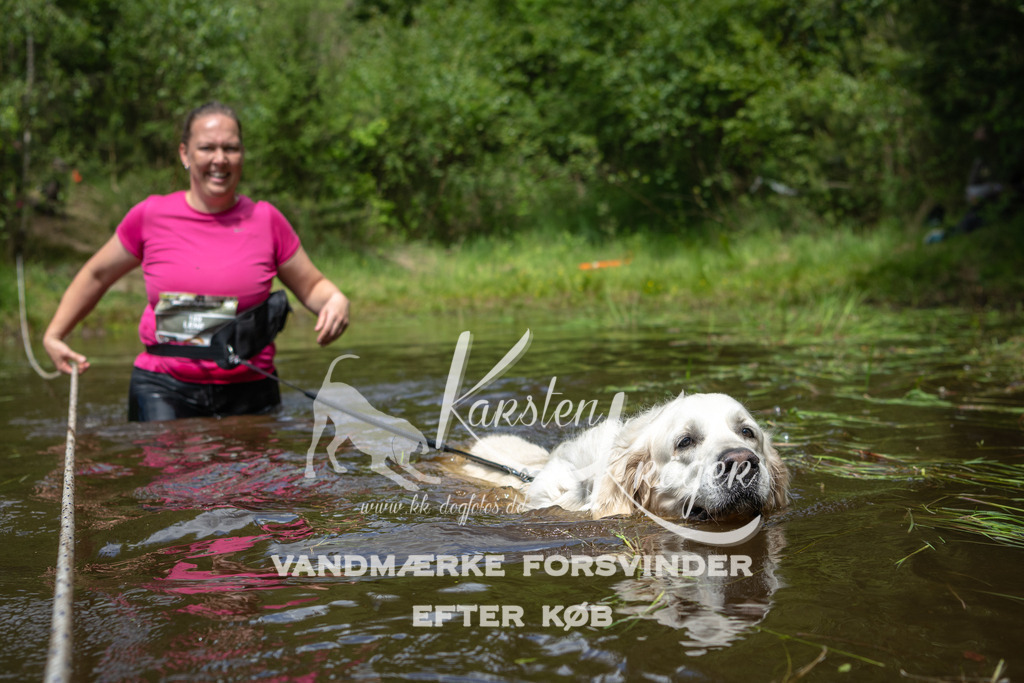 1223DKK992721 | kk-dogfotos